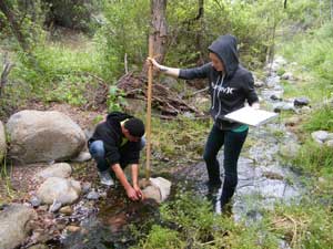 bioassessment volunteers