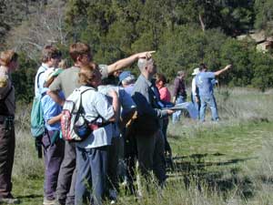 Songbirders