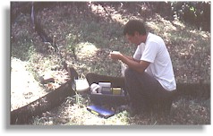 Herpetological Researcher (16441 bytes)