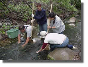 stream sampling